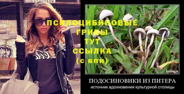 spice Новокубанск