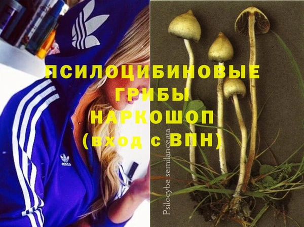 марки nbome Новодвинск