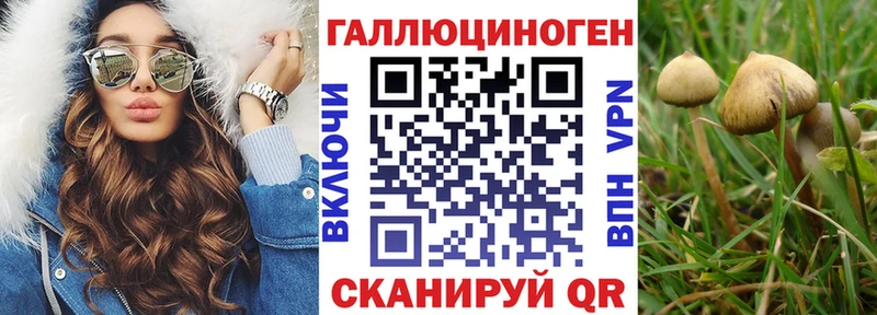 Галлюциногенные грибы GOLDEN TEACHER Руза